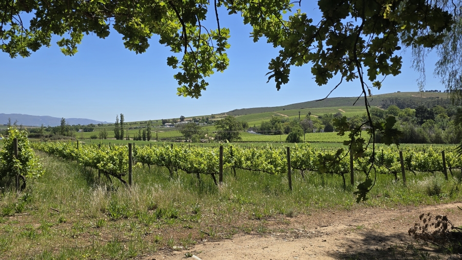 Commercial Property for Sale in Wellington Rural Western Cape